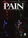 журнал pain