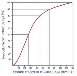 кривая-диссоциации-оксигемоглобина